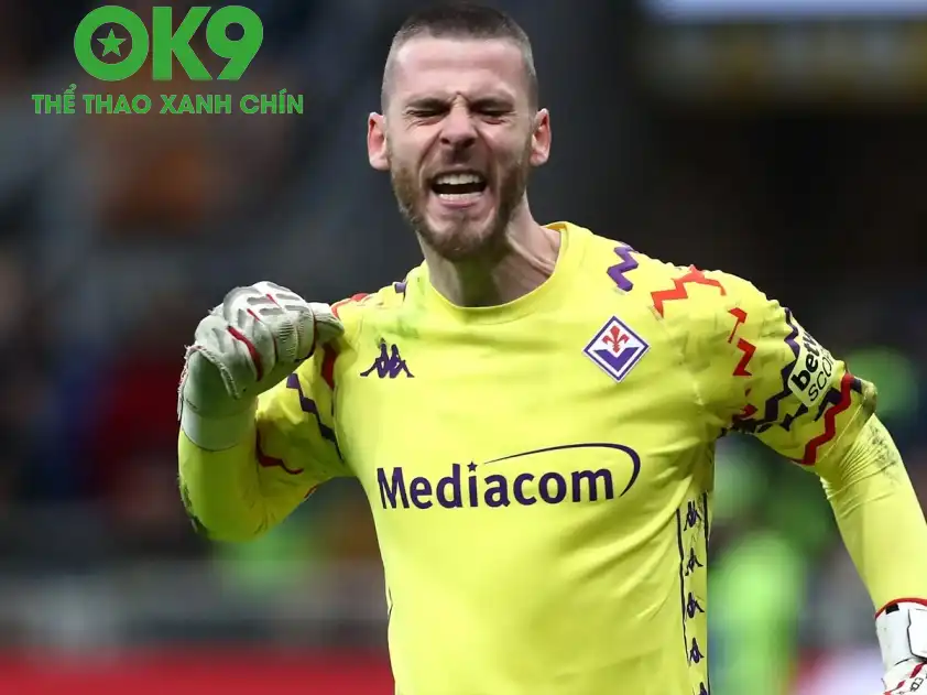 Fiorentina đang có phong độ khá tốt hiện tại (Ảnh: Football Italia) Fiorentina đang có phong độ khá tốt hiện tại (Ảnh: Football Italia)